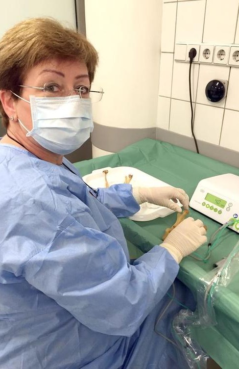 Dr. Stefaniak beim Humanpräparatekurs © OT medical = Bildquelle Dr. Stefaniak beim Humanpräparatekurs © OT medical = Bildquelle